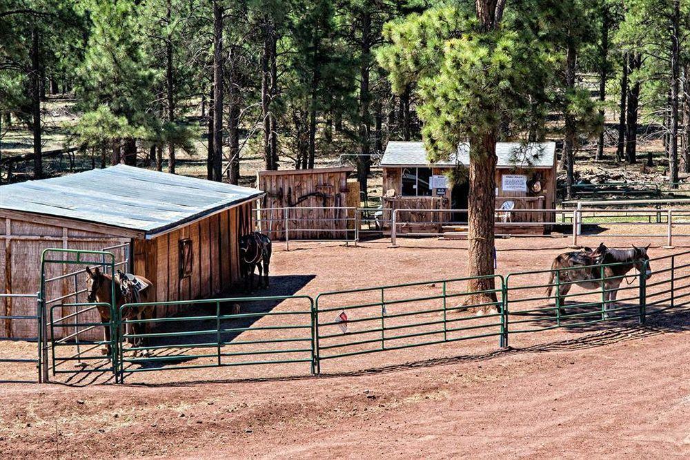 Mountain Ranch Resort At Beacon Hill Williams Exteriér fotografie