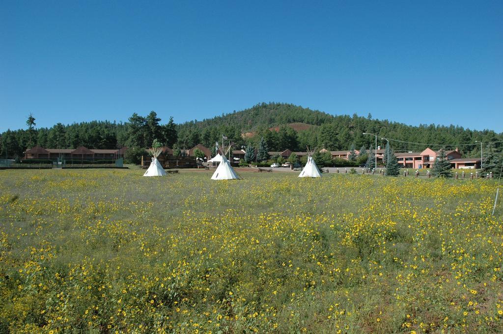 Mountain Ranch Resort At Beacon Hill Williams Exteriér fotografie